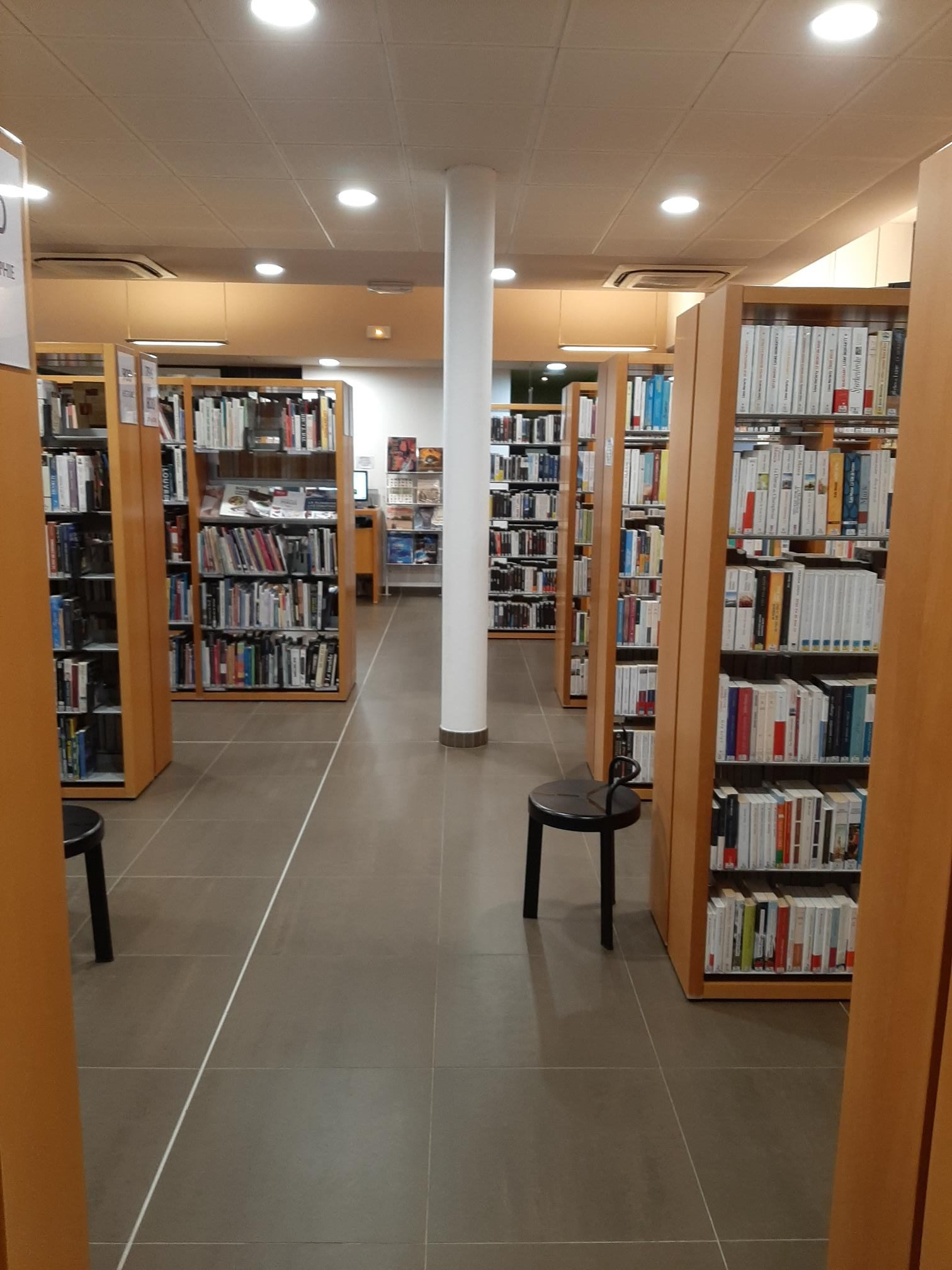 section ados adultes copy